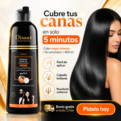 Shampoo Tinte Anti Canas DISAAR 400 ml