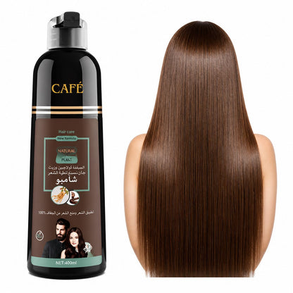 Shampoo Tinte Anti Canas DISAAR 400 ml